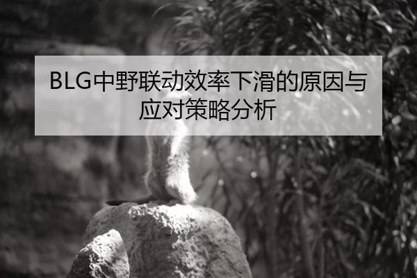 BLG中野联动效率下滑的原因与应对策略分析