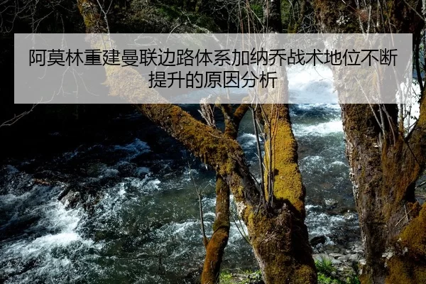 阿莫林重建曼联边路体系加纳乔战术地位不断提升的原因分析