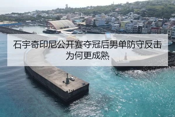石宇奇印尼公开赛夺冠后男单防守反击为何更成熟