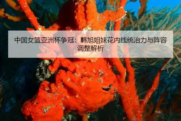 中国女篮亚洲杯争冠：韩旭姐妹花内线统治力与阵容调整解析