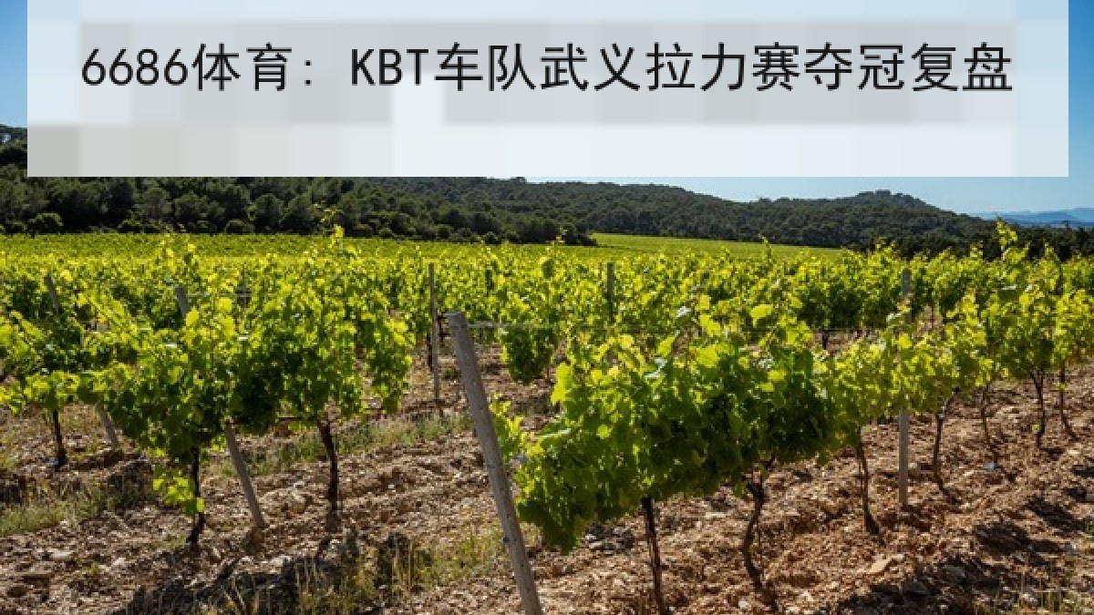 6686体育: KBT车队武义拉力赛夺冠复盘 6686体育: KBT车队武义拉力赛夺冠复盘
