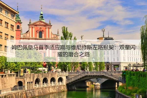 mu-ba-pei-huang-ma-shou-ji-shi-ying-qi-yu-wei-ni-xiu-si-zuo-lu-mo-qi-shuang-xing-shan-yao-de-mo-he-zhi-lu-2-224.jpg