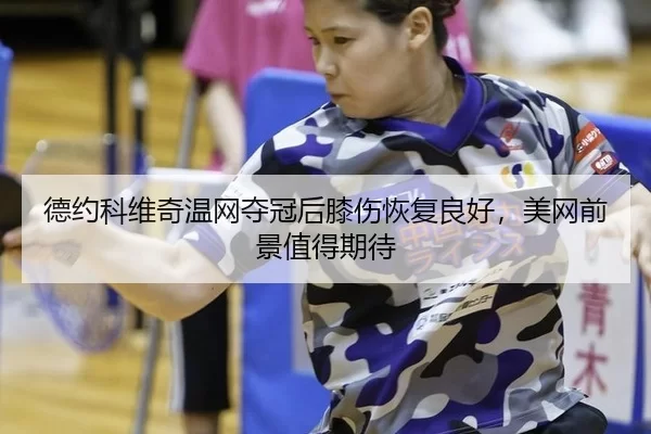 de-yue-ke-wei-qi-wen-wang-duo-guan-hou-xi-shang-hui-fu-liang-hao-mei-wang-qian-jing-zhi-de-qi-dai-2-752.jpg
