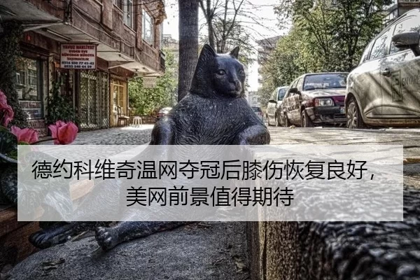 de-yue-ke-wei-qi-wen-wang-duo-guan-hou-xi-shang-hui-fu-liang-hao-mei-wang-qian-jing-zhi-de-qi-dai-3-996.jpg