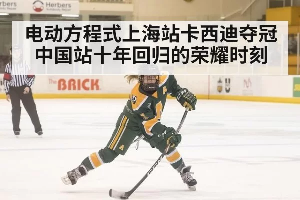 电动方程式上海站卡西迪夺冠中国站十年回归的荣耀时刻